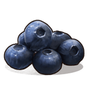Blueberries